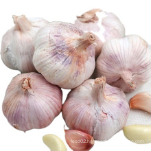 2021 new  Chinese Sinofarm Fresh vegetables red garlic and white garlic carton packing